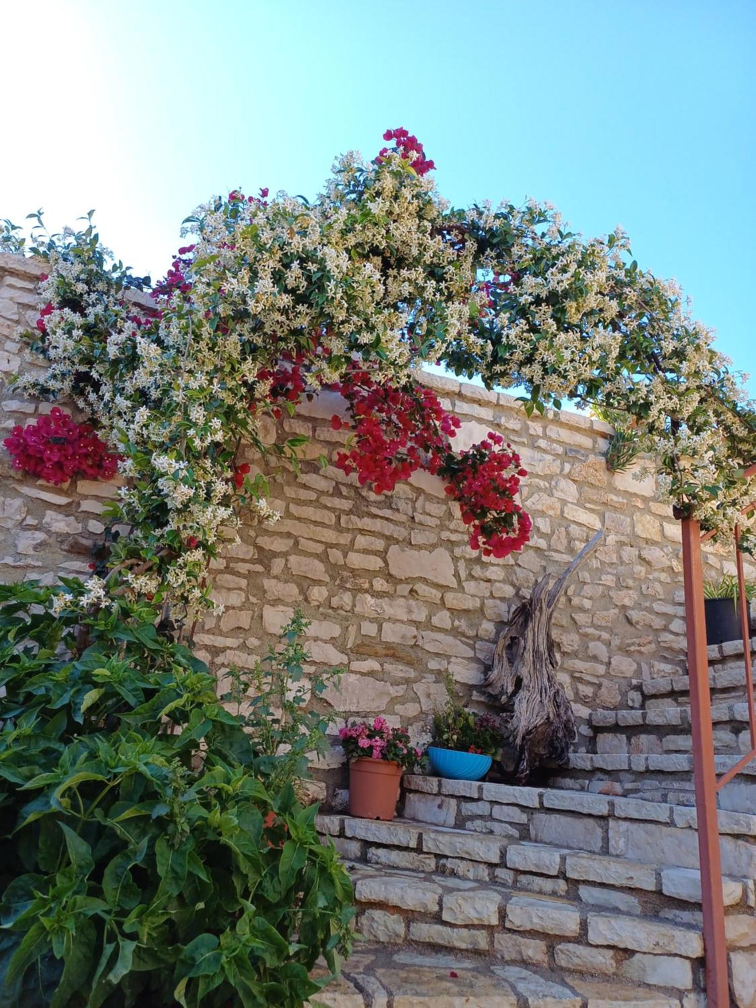Villa Porta Qeparo Extérieur photo